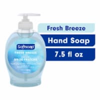Softsoap Liquid Hand Soap Pump Fresh Breeze