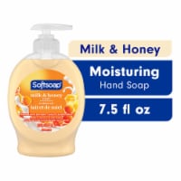 Softsoap Liquid Hand Soap Pump Milk & Golden Honey