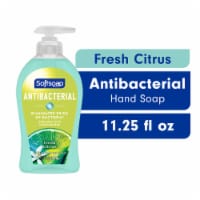 Softsoap Antibacterial Liquid Hand Soap Fresh Citrus