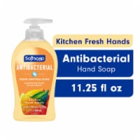 Softsoap Antibacterial Liquid Hand Soap Pump Kitchen Fresh Hands