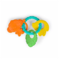 Bright Starts™ Tropical Chews™ Teething Ring Perspective: Main