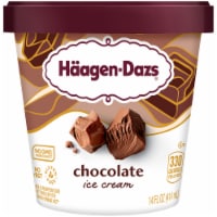 Haagen Dazs® Chocolate Gluten Free Ice Cream