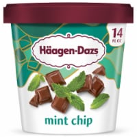 Haagen Dazs® Mint Chocolate Chip Ice Cream Perspective: Main