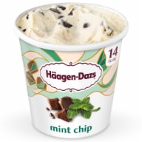Haagen Dazs® Mint Chocolate Chip Gluten Free Ice Cream