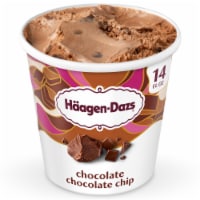 Haagen Dazs® Chocolate Chocolate Chip Ice Cream
