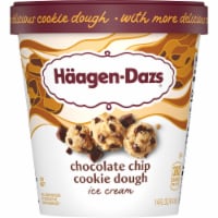 Haagen-Dazs Chocolate Chip Cookie Dough Ice Cream Perspective: Main
