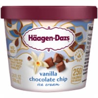Haagen Dazs® Vanilla Chocolate Chip Gluten Free Ice Cream Cup