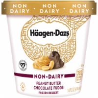 Haagen-Dazs Dairy Free Peanut Butter Chocolate Fudge Frozen Dessert Perspective: Main