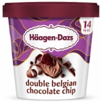 Haagen Dazs® Double Belgian Chocolate Chip Ice Cream