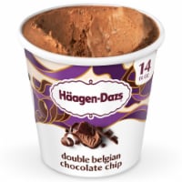 Haagen-Dazs Double Belgian Chocolate Chip Ice Cream, 14 Oz. Perspective: Main