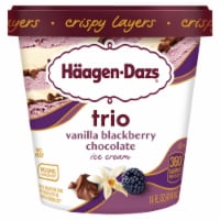 Haagen Dazs® Trio Vanilla Blackberry Chocolate Ice Cream Perspective: Main