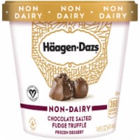 Haagen-Dazs Dairy Free Gluten Free Chocolate Salted Fudge Truffle Frozen Dessert Perspective: Main