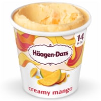 Häagen-Dazs Mango Ice Cream Perspective: Main