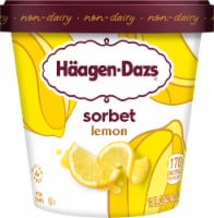 Haagen-Dazs Lemon Sorbet Perspective: Main