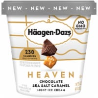 Haagen-Dazs Heaven Chocolate Sea Salt Caramel Light Ice Cream Perspective: Main