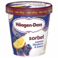 Haagen-Dazs® Non-Dairy Gluten Free Summer Blueberry & Lemon Sorbet Pint Perspective: Main