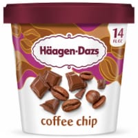 Häagen-Dazs Coffee Chip Ice Cream Perspective: Main