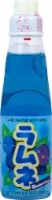 Yappari Ramune Blueberry Soda Perspective: Main