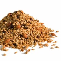 Golden Temple Granola Organic Granola - Fruit Muesli - Case of 25 - 1 lb.