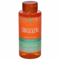 Tree Hut® Tangerine Foaming Gel Wash Perspective: Main