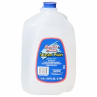 Carolina Choice® Premium Artesian Gallon Water Perspective: Main