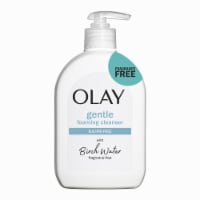 Olay® Gentle Foaming Birchwater Fragrance-Free Facial Cleanser