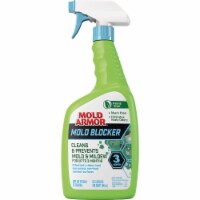 Mold Armor Mold Control,32 oz,8 pH FG516T