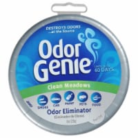 Odor Genie® Clean Meadows Solid Air Freshener Perspective: Main