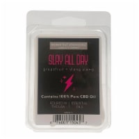 Candle-lite Essential Elements Slay All Day CBD Wax Cubes Perspective: Main