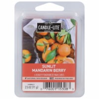 Candle-Lite® Sunlit Mandarin Berry Scented Wax Cubes Perspective: Main