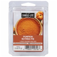 Candle-Lite® Pumpkin Nutmeg Pie Scented Wax Cubes Perspective: Main