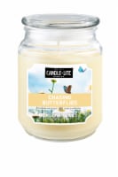 Candle-Lite Chasing Butterflies Jar Candle