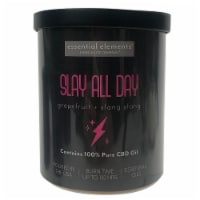 Candle-Lite Company® Essential Elements® Slay All Day 2-Wick Candle - Grapefruit and Ylang Ylang