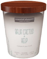 Essential Elements® Baja Cactus + Kelp Jar Candle Perspective: Main