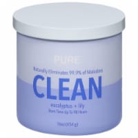 Candle-lite Odor Eliminating Clean Scented 2-Wick Candle Perspective: Main