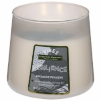 Essential Elements® Vibes Resilience Fruity Floral Jar Candle Perspective: Main