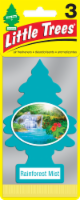 Little Trees® Rainforest Mist Car Air Fresheners Perspective: Main