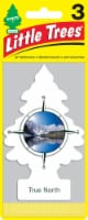 Little Trees® True North Car Air Fresheners Perspective: Main