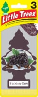 Little Trees® Blackberry Clove Car Air Freshener