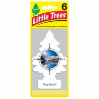 Little Trees® True North Car Air Fresheners Perspective: Main