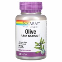 Solaray Olive Leaf Extract 250 mg - 120 VegCaps Perspective: Main