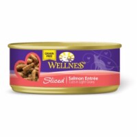 Wellpet OM02690 Wellness Cat Entree Sliced Salmon, 24-5.5 Oz.