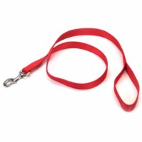 Coastal Pet Products 764185 1X6 Nylon Tr Lead Red