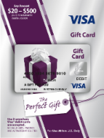 Visa Gift Card, Vanilla, $20 $500 1 Ea, Shop