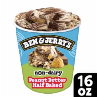 Ben & Jerry's Dairy Free Peanut Butter Half Baked Frozen Dessert Pint Perspective: Main