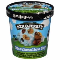 Ben & Jerry's Punch Line Ice Cream