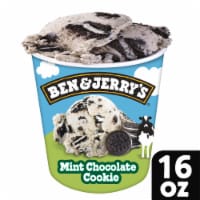 Ben & Jerry's Pint Mint Chocolate Cookie Peppermint Ice Cream