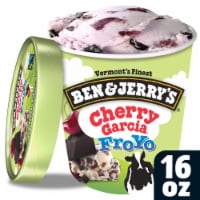 Ben & Jerry's® Cherry Garcia Frozen Yogurt Perspective: Main
