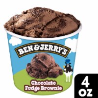 Ben & Jerry's Chocolate Fudge Brownie Chocolate with Fudge Brownies Mini Ice Cream Cups Perspective: Main
