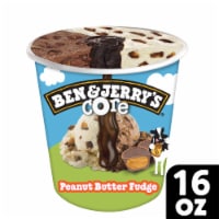 Ben & Jerry's Peanut Butter Fudge Ice Cream Perspective: Main